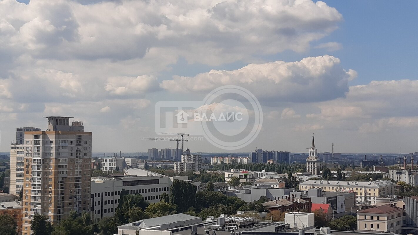 3к, 14/24 К, Россия, Воронеж, улица Станкевича, 45к1, 89 кв.м
