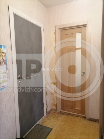 Миниатюра 1к, 5/6 К, Россия, Воронеж, улица Полякова, 11, 29.5 кв.м