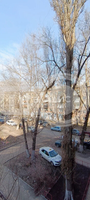 Миниатюра 2к, 3/5 К, Россия, Воронеж, улица Варейкиса, 71, 42.1 кв.м
