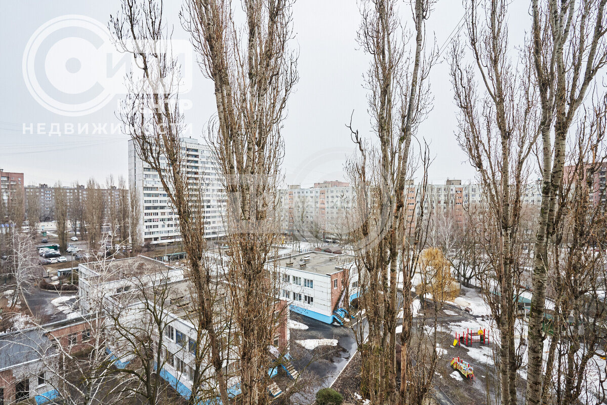 1к, 9/9 П, Россия, Воронеж, улица Хользунова, 114, 29 кв.м