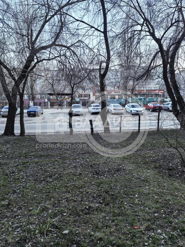 2к, 1/9 П, Россия, Воронеж, Новосибирская улица, 33А, 43.8 кв.м