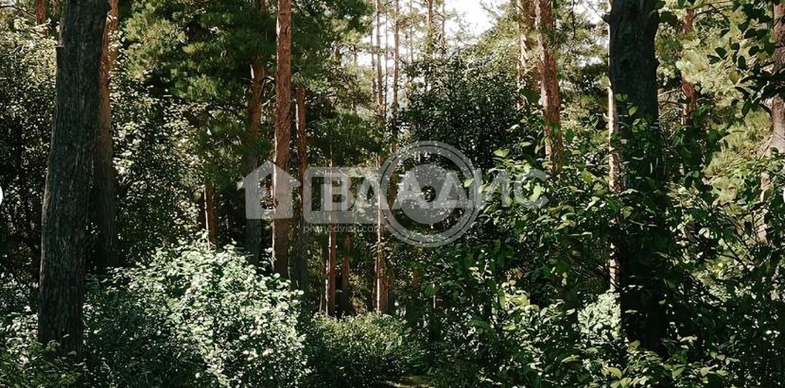 0к, 16/19 М, Россия, Воронеж, Покровская улица, 17к3, 21.65 кв.м