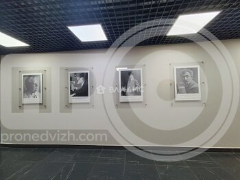 Миниатюра 1к, 2/22 М, Россия, Воронеж, улица Хользунова, 9/4, 52.7 кв.м
