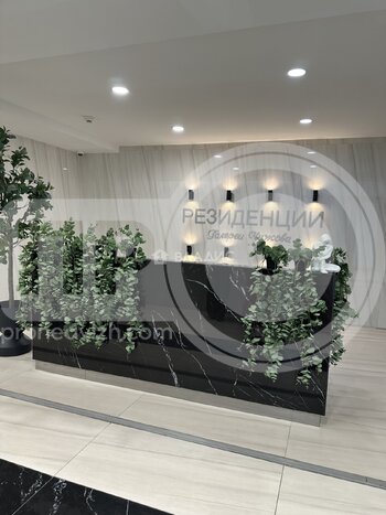 Миниатюра 0к, 14/17 М, Россия, Воронеж, улица Куколкина, 18, 31.39 кв.м