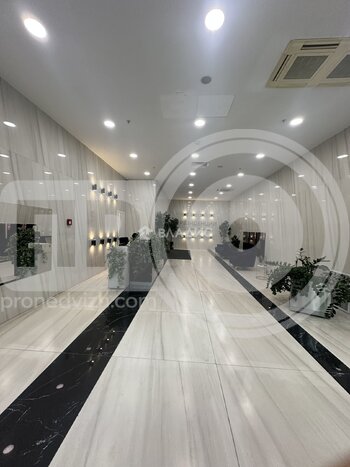 Миниатюра 0к, 14/17 М, Россия, Воронеж, улица Куколкина, 18, 31.39 кв.м