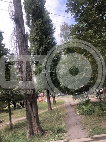 Миниатюра 3к, 2/9 П, Россия, Воронеж, Московский проспект, 95, 76.1 кв.м