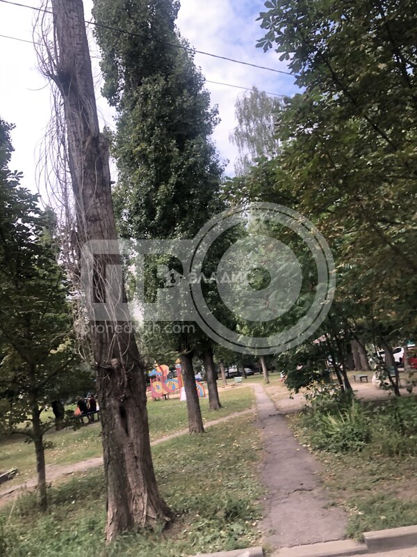 3к, 2/9 П, Россия, Воронеж, Московский проспект, 95, 76.1 кв.м
