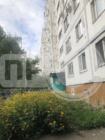 Миниатюра 3к, 2/9 П, Россия, Воронеж, Московский проспект, 95, 76.1 кв.м