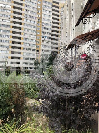 Миниатюра 1к, 2/15 К, Россия, Воронеж, улица Черняховского, 15А, 43.2 кв.м