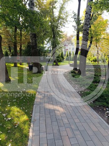 Миниатюра 1к, 7/25 М, Россия, Воронеж, улица Лётчика Щербакова, 10, 64.54 кв.м