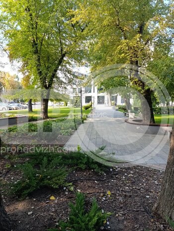 Миниатюра 1к, 7/25 М, Россия, Воронеж, улица Лётчика Щербакова, 10, 64.54 кв.м