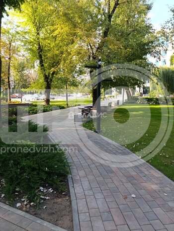 Миниатюра 0к, 5/25 М, Россия, Воронеж, улица Лётчика Щербакова, 10, 30.6 кв.м