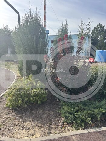 Миниатюра 2к, 2/5 П, Россия, Воронежская область, село Новая Усмань, Полевая улица, 48, 50.4 кв.м